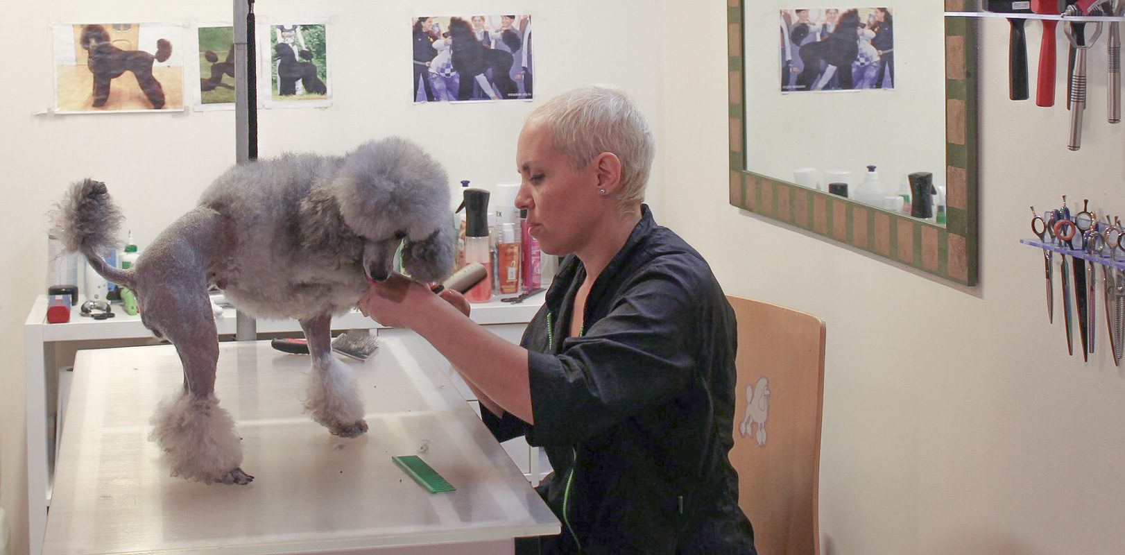 Evguenia Zwing dog salon Napoleon owner, dog hairdresser, dog groomer, pet groomer in Diessenhoffen at work